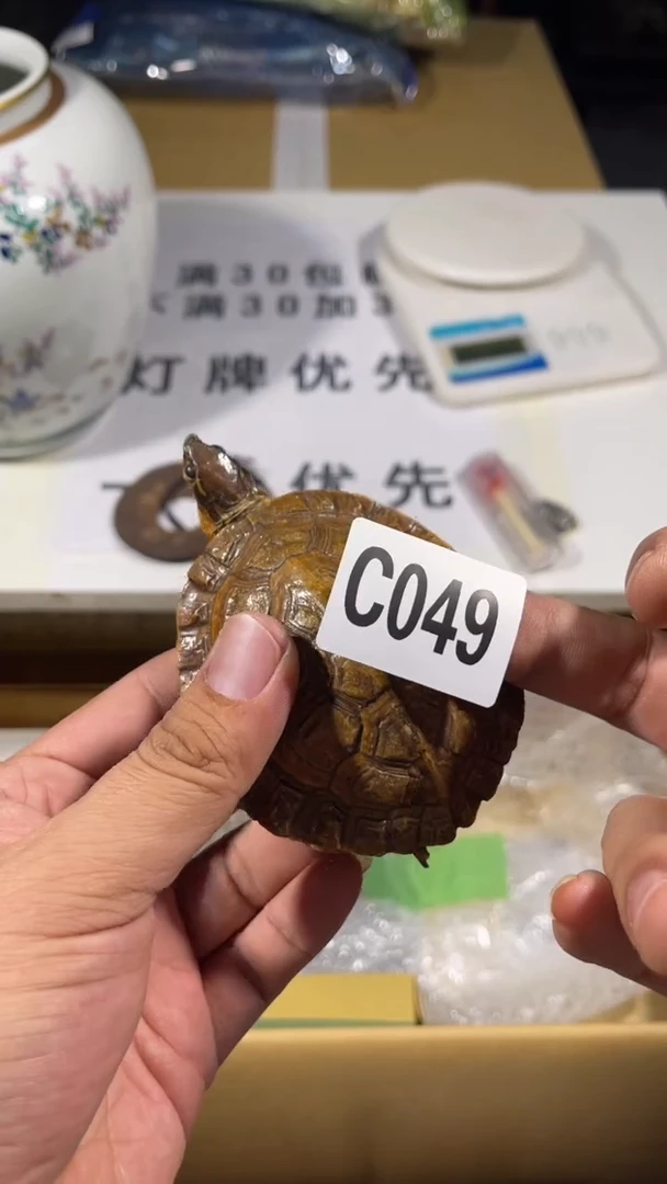 游*瓷器瓷器瓷器瓷器瓷器049