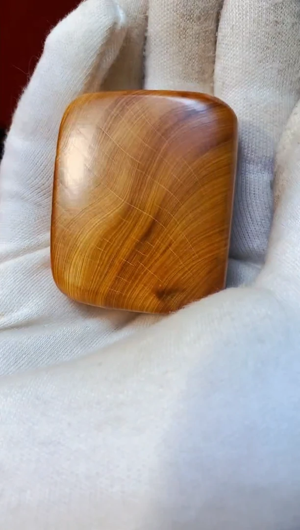 【闪购商品】柏木48崖柏崖柏崖柏