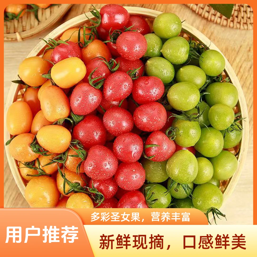 【次日达】山东三色圣女果京东发货现采现发新鲜多彩圣女果山东省