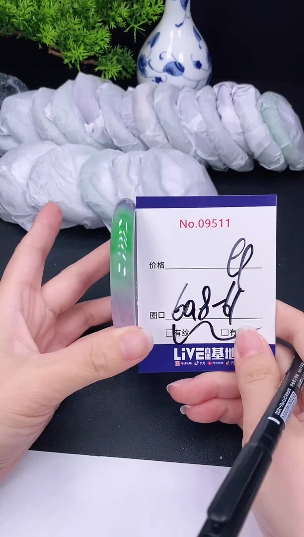 未镶嵌手镯翡翠9511