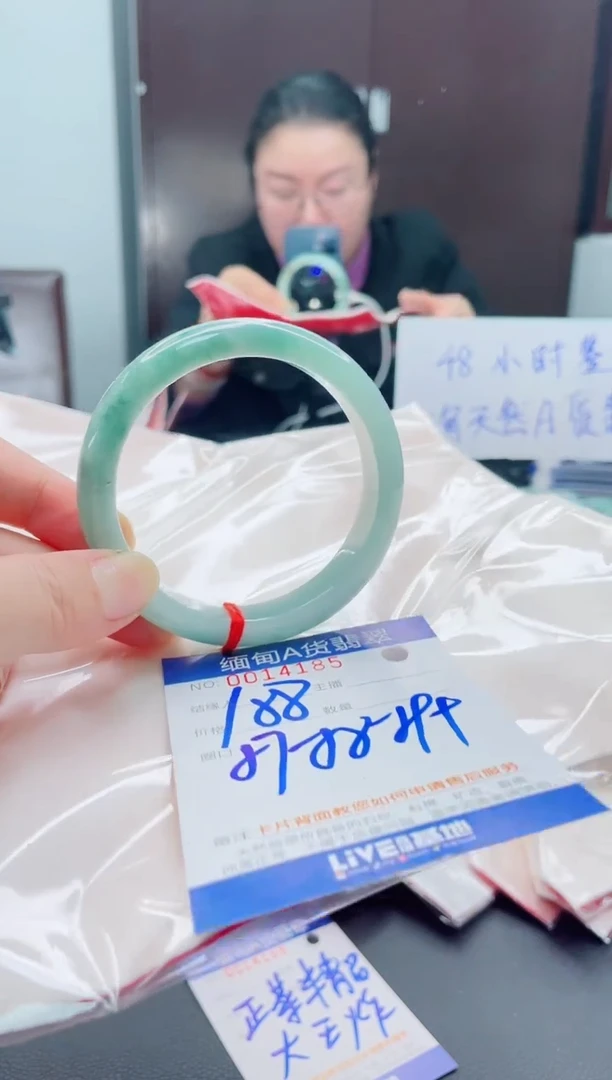 未镶嵌手镯翡翠我4