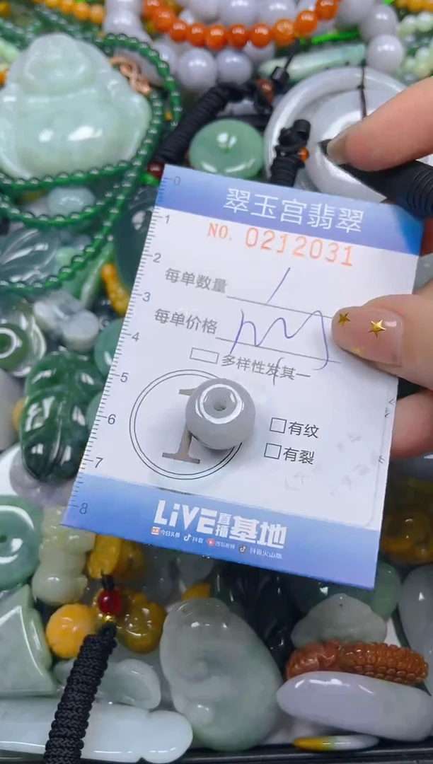 颈饰未镶嵌翡翠闪购C0212031