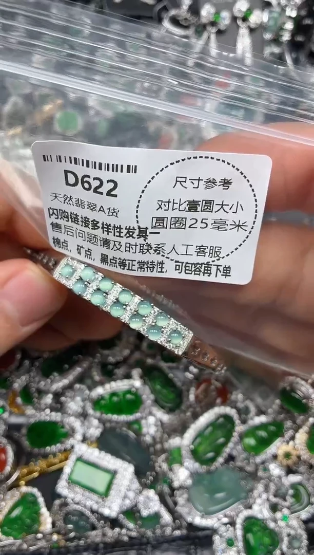 颈饰未镶嵌翡翠D622手镯