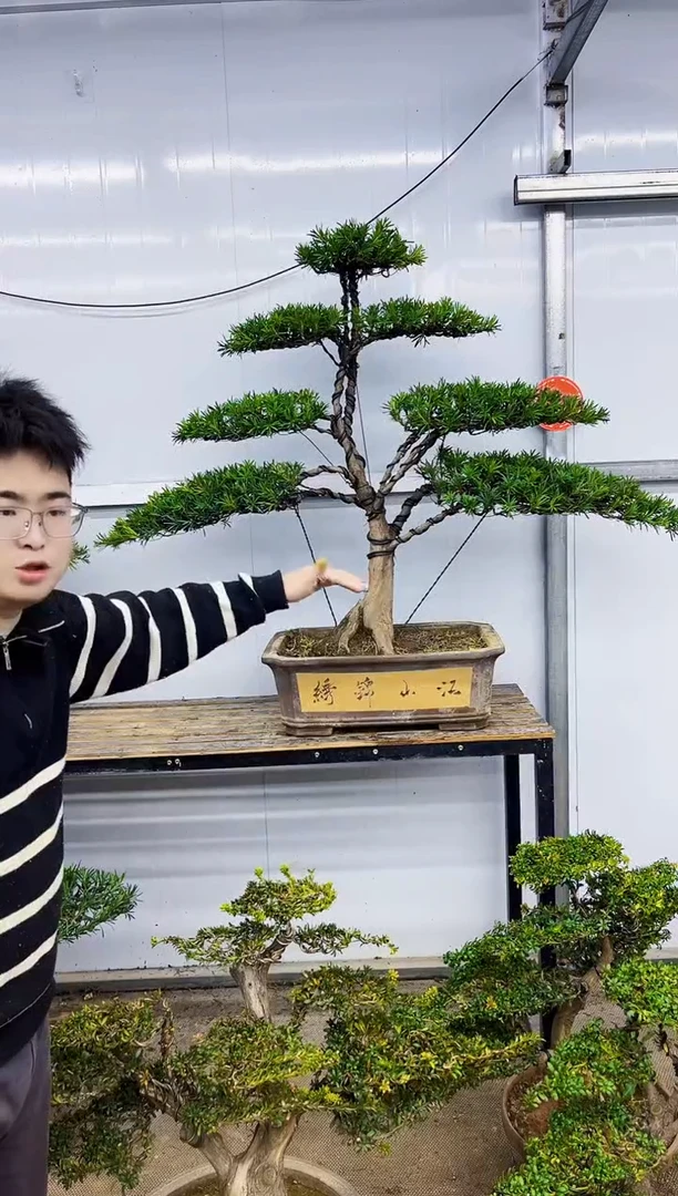 完全开放一物一拍，所见即所得