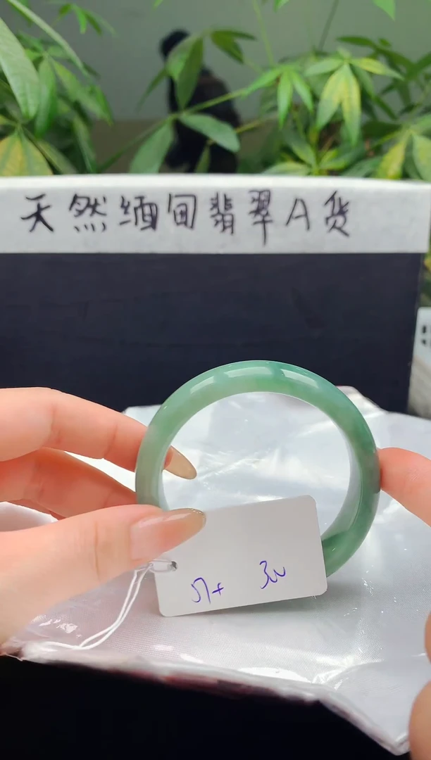 未镶嵌手镯翡翠104