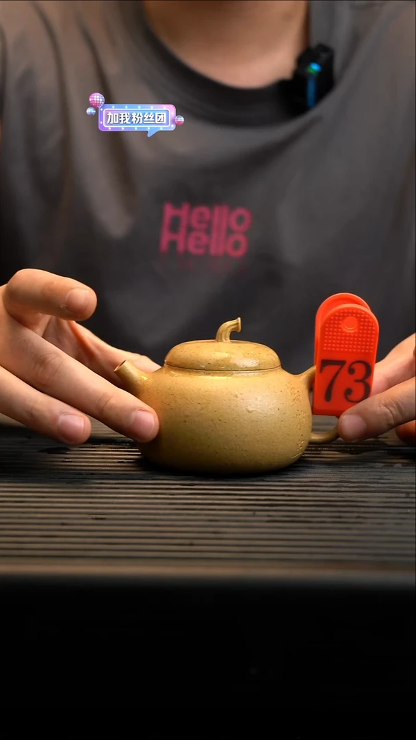 茶壶紫砂紫砂壶73