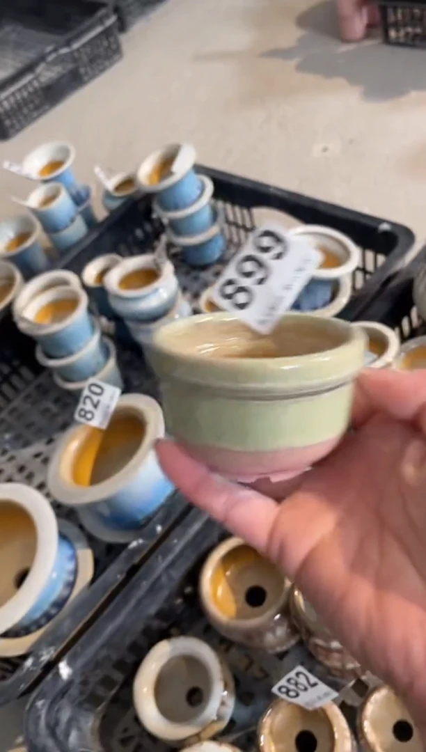 瓷片899小芳直播编号