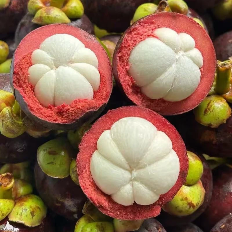 【泰国新鲜山竹】精品 山竹大果 饱满多汁