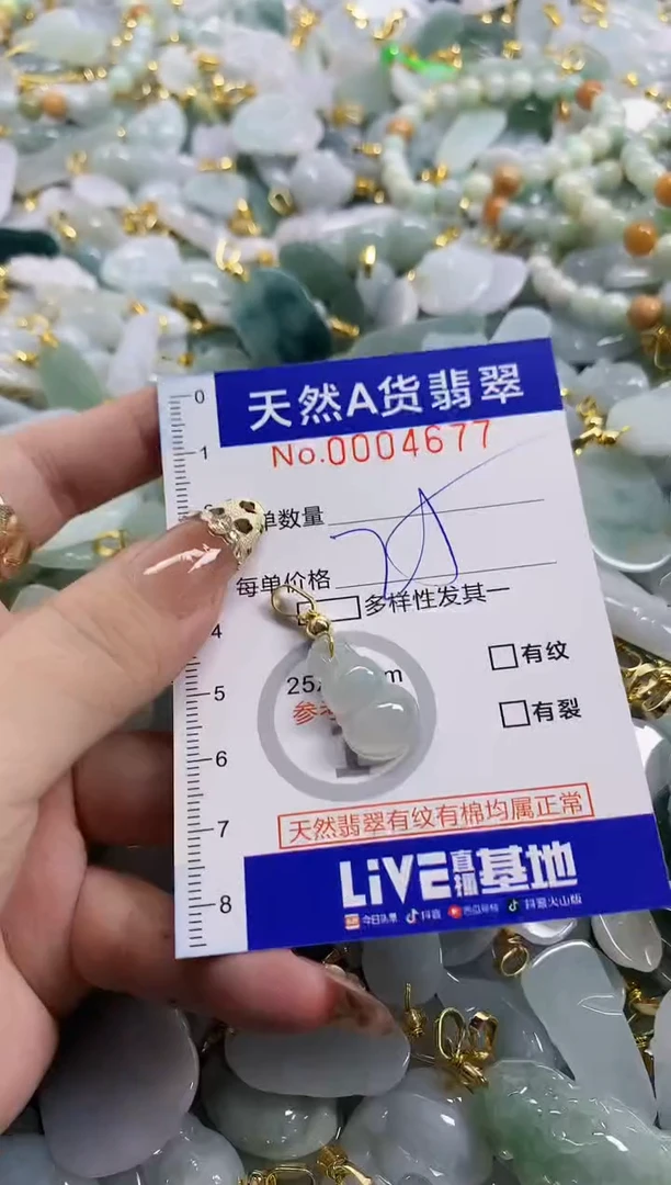 颈饰未镶嵌翡翠天然A货翡翠