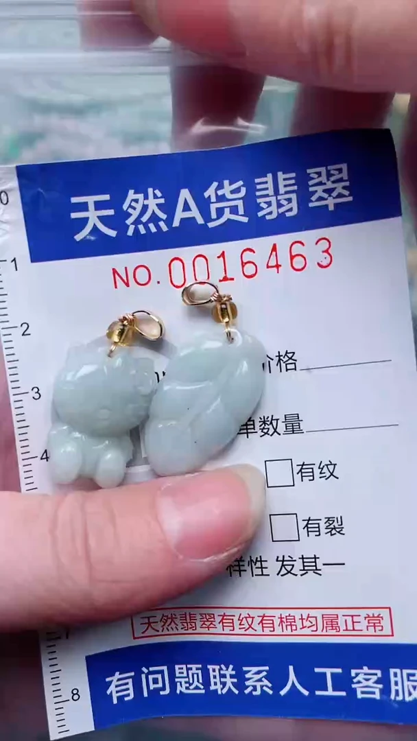 翡翠未镶嵌吊坠(赠链)1