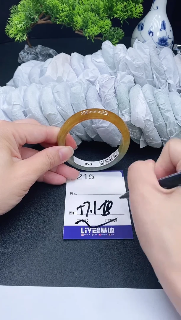 未镶嵌手镯翡翠215