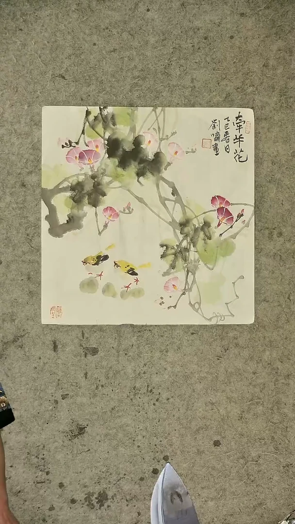 国画34*34cm   花鸟   牵牛花