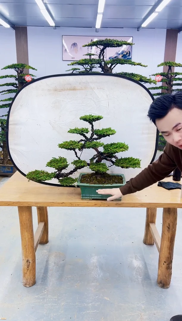 以实际为准000000