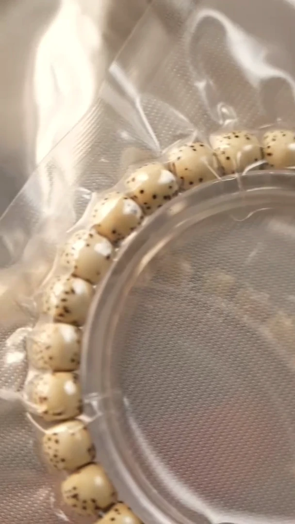 手串星月菩提S06星月手串