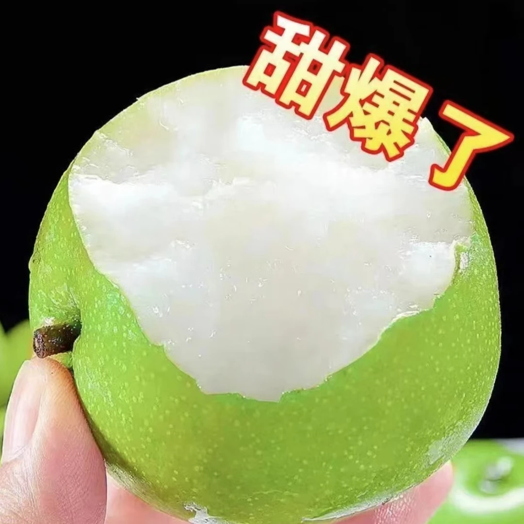 【助农】砀山青皮蜜梨皇冠梨酥脆爽口当季新鲜水果整箱包邮F