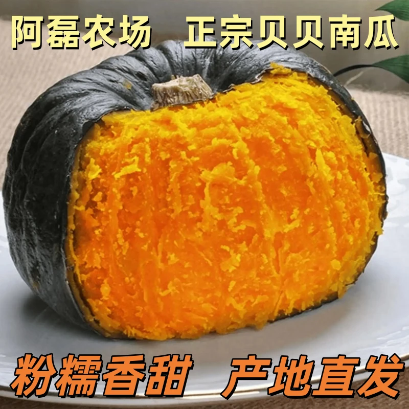 塞罕坝脚下的贝贝南瓜粉糯香甜板栗口味大果