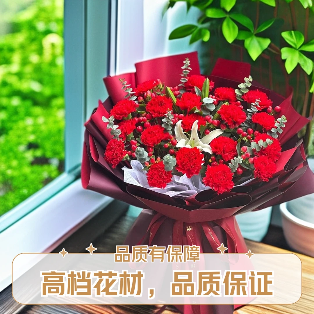 19支红色康乃馨花束