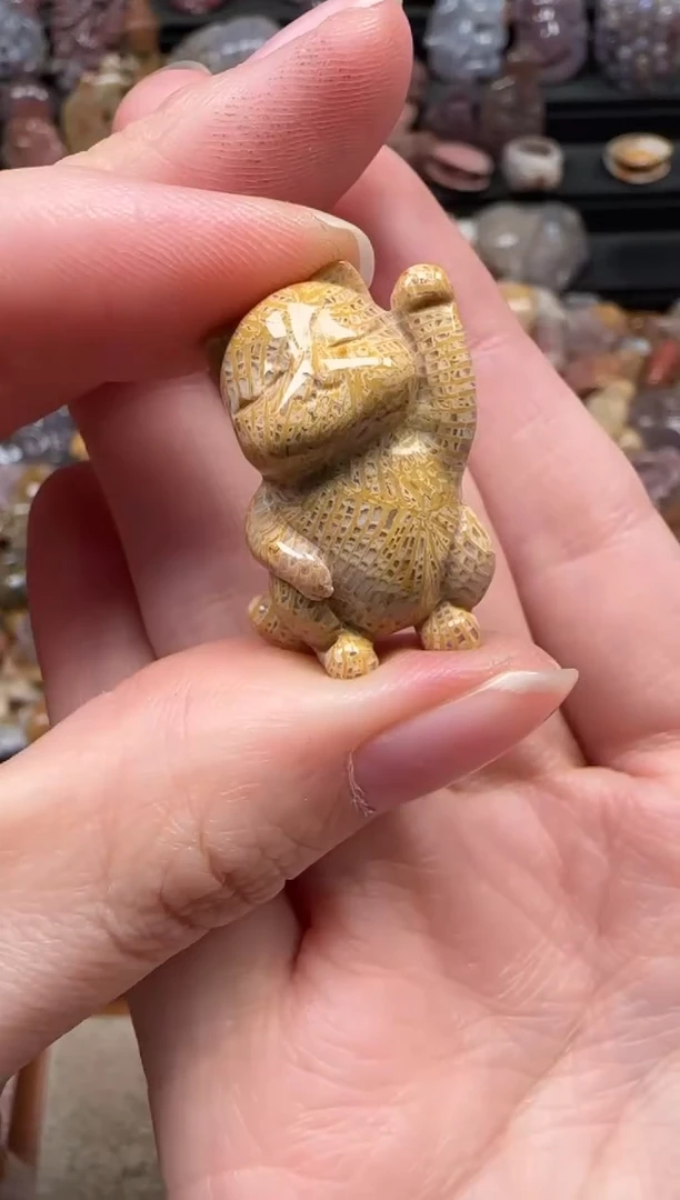 颈饰未镶嵌硅化珊瑚（珊瑚玉）793