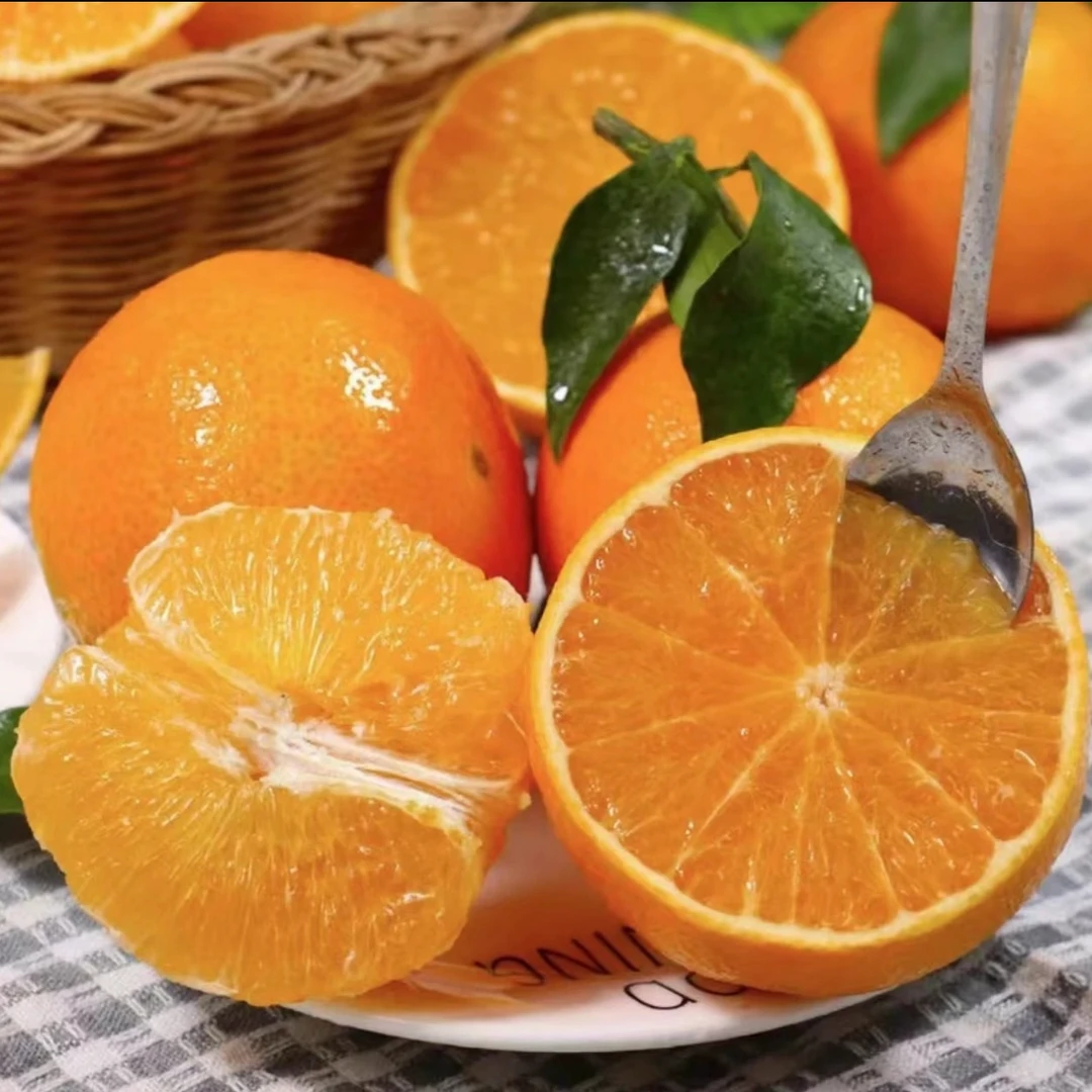 【小慧推荐】宜宾本地无核橙罗脐橙饱满多汁