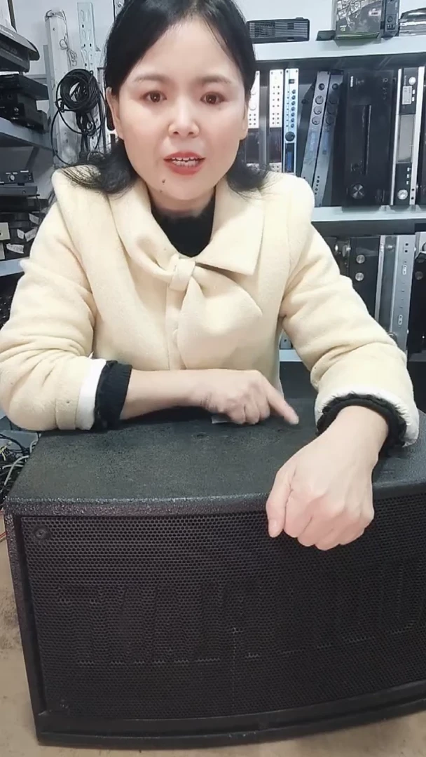 8新八寸音响一对，不包邮费