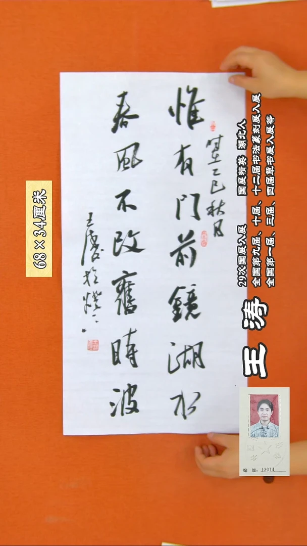 书法49R王涛书法作品