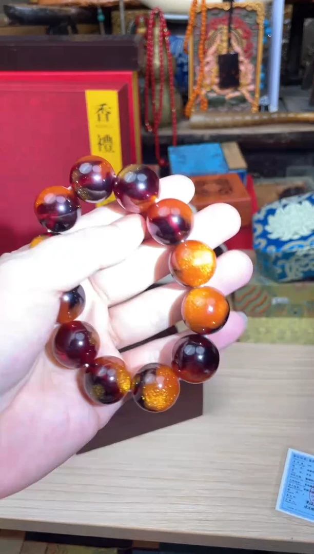 木-------------海柳2.0