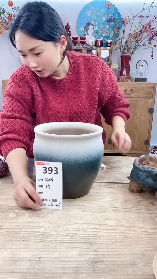 【闪购商品】红陶393