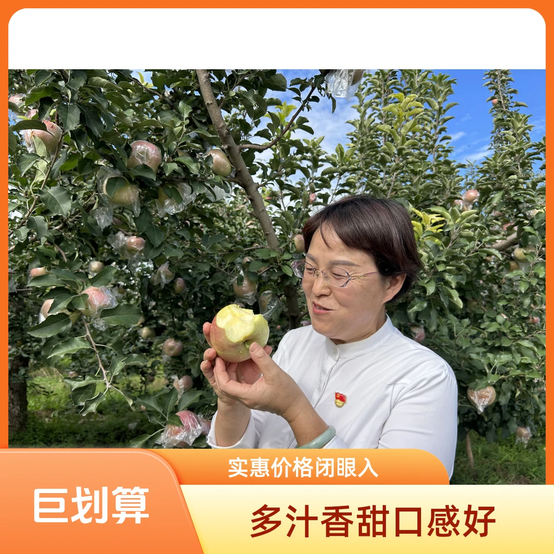 山西运城红富士膜袋冰糖心苹果自然着色无反光膜当季现摘产地直发