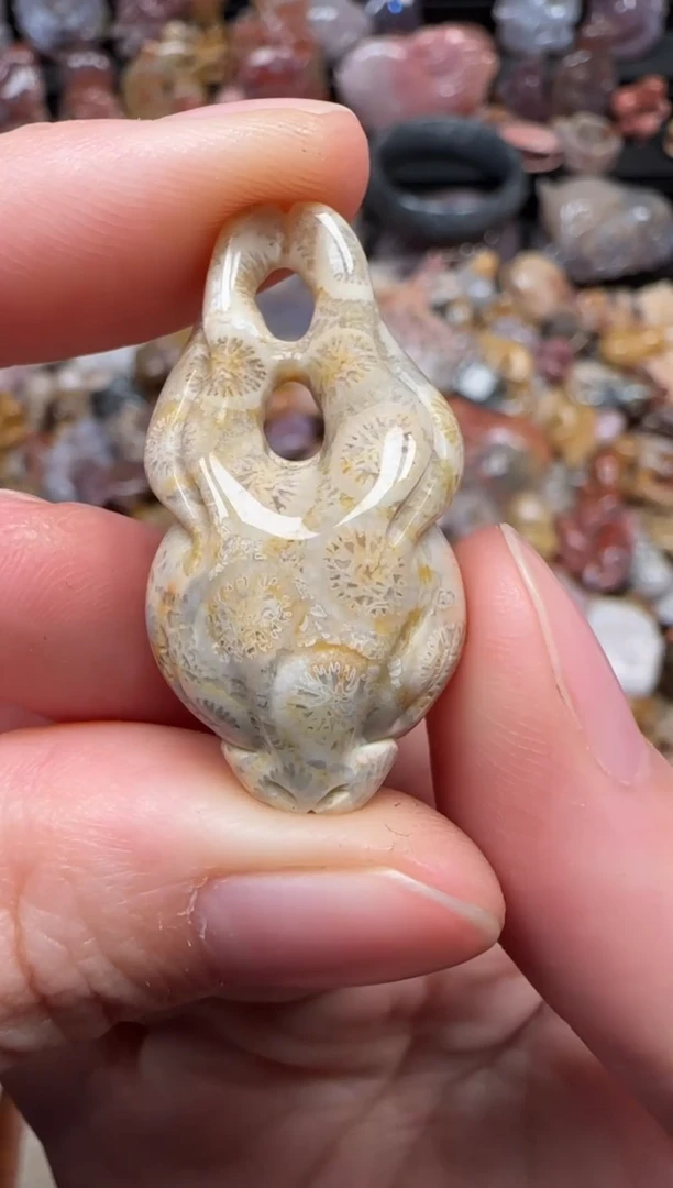 颈饰未镶嵌硅化珊瑚（珊瑚玉）271