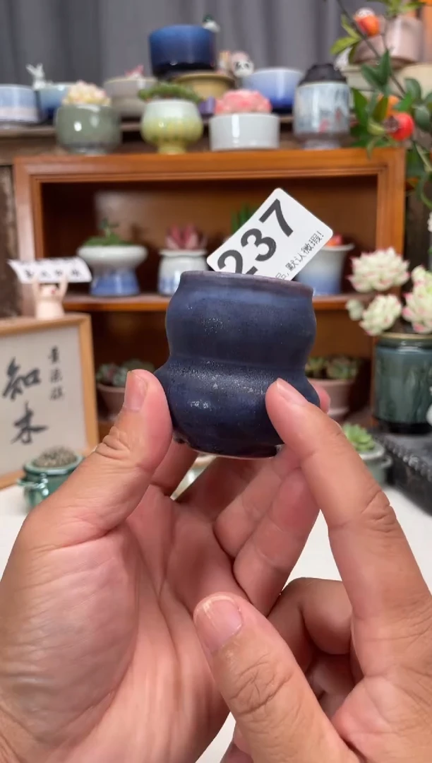 瓷片237知木小芳花盆