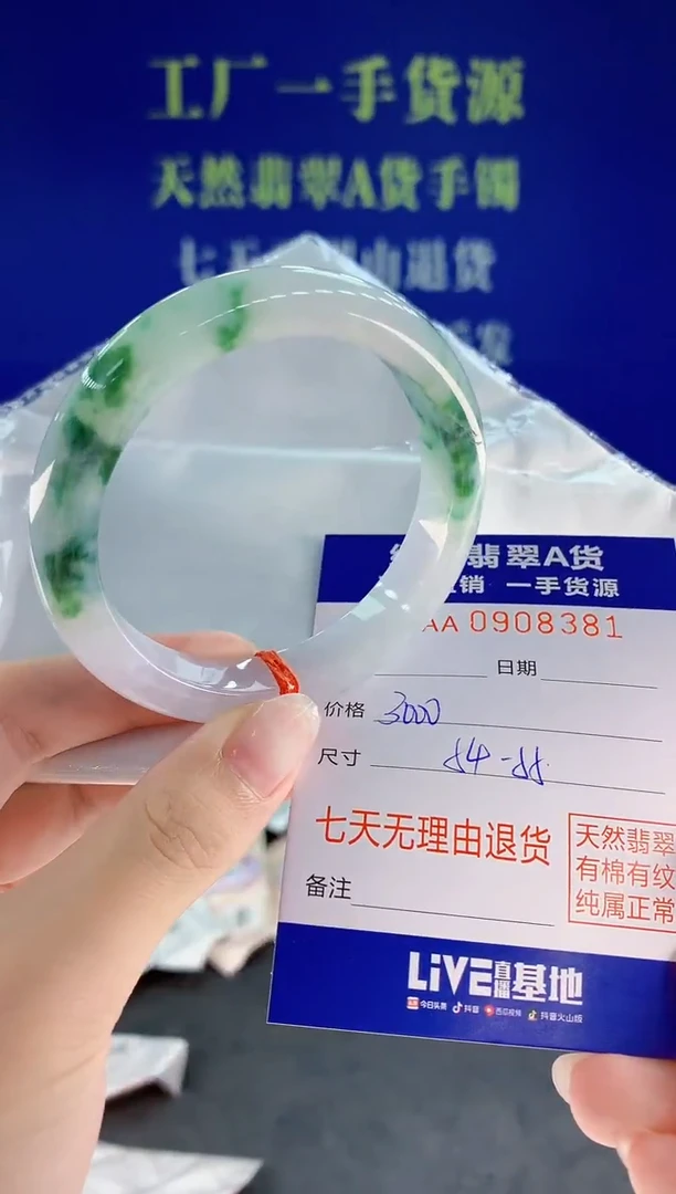 未镶嵌手镯翡翠81