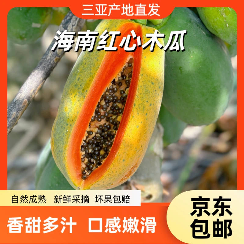 【三亚直发】红心木瓜软糯香甜自然熟海南木瓜红心牛奶木瓜冰糖心