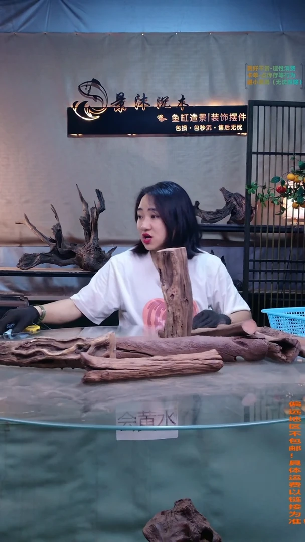 摆件景沐沉木A991景沐沉木A991