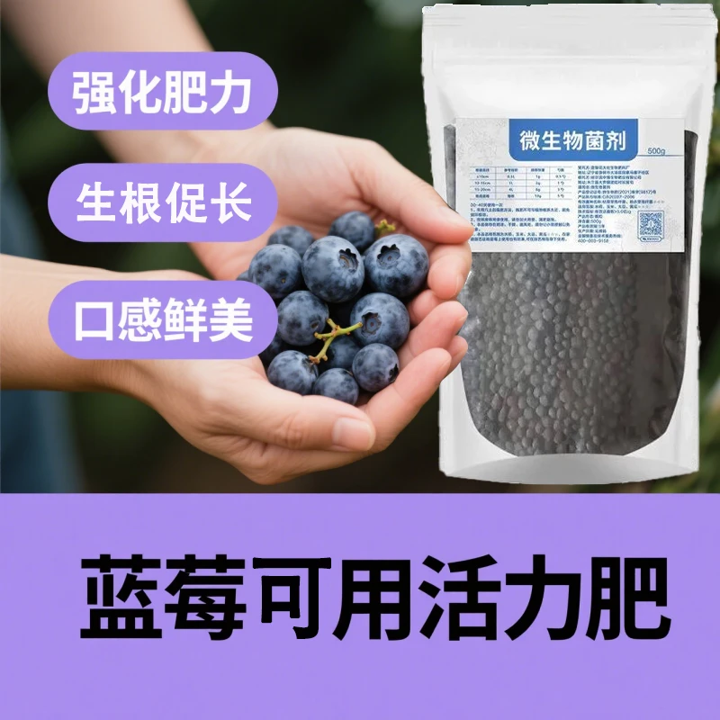 蓝莓可用肥微生物菌肥蓝莓树盆栽果苗挂果增甜促生长促结果酸性肥