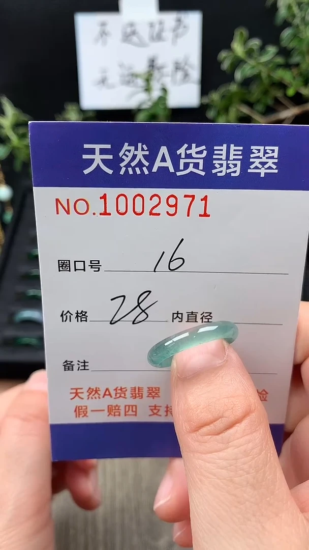 未镶嵌戒指翡翠16#