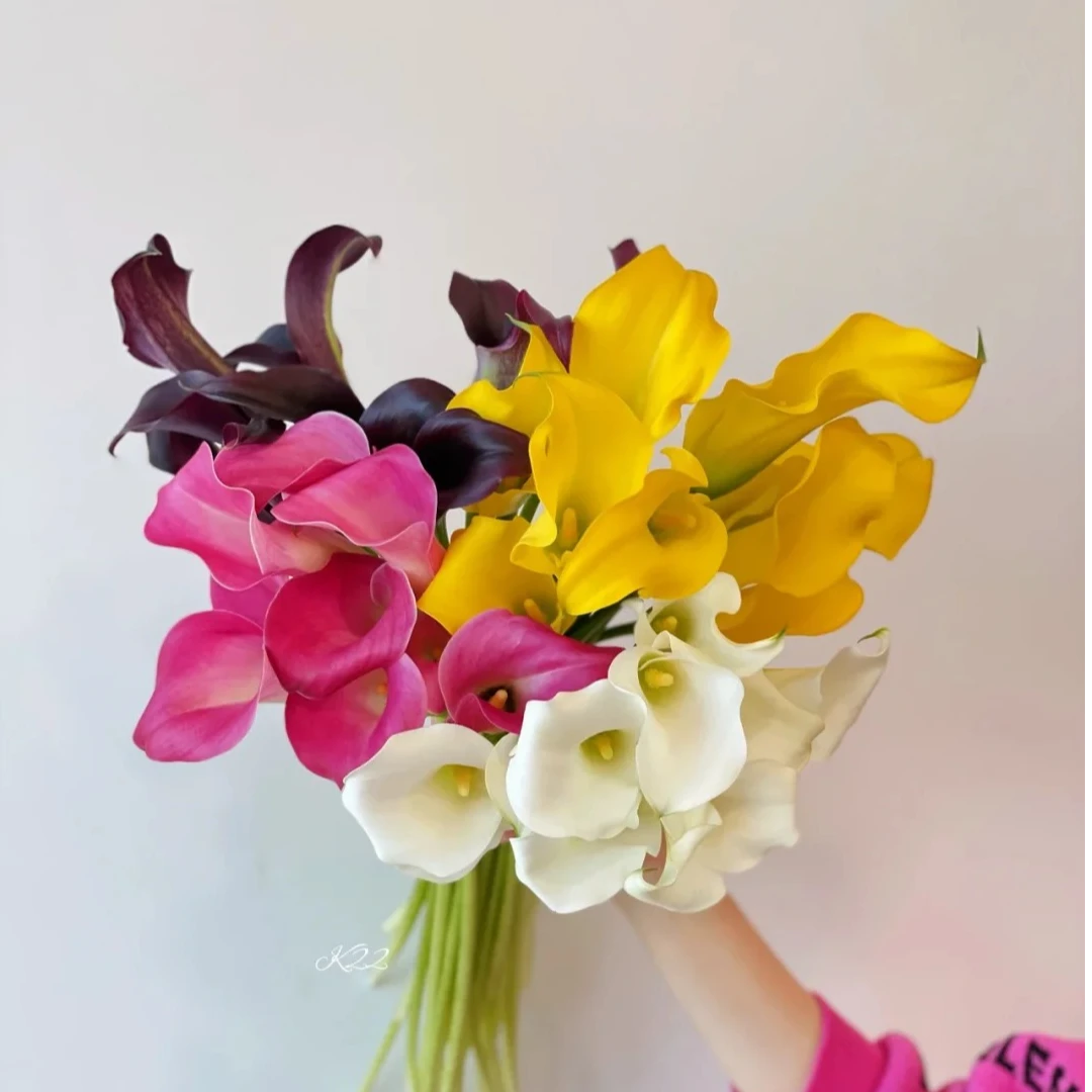 【进口马蹄莲种球】直播间基地直发高品质鲜切花鲜花马蹄莲