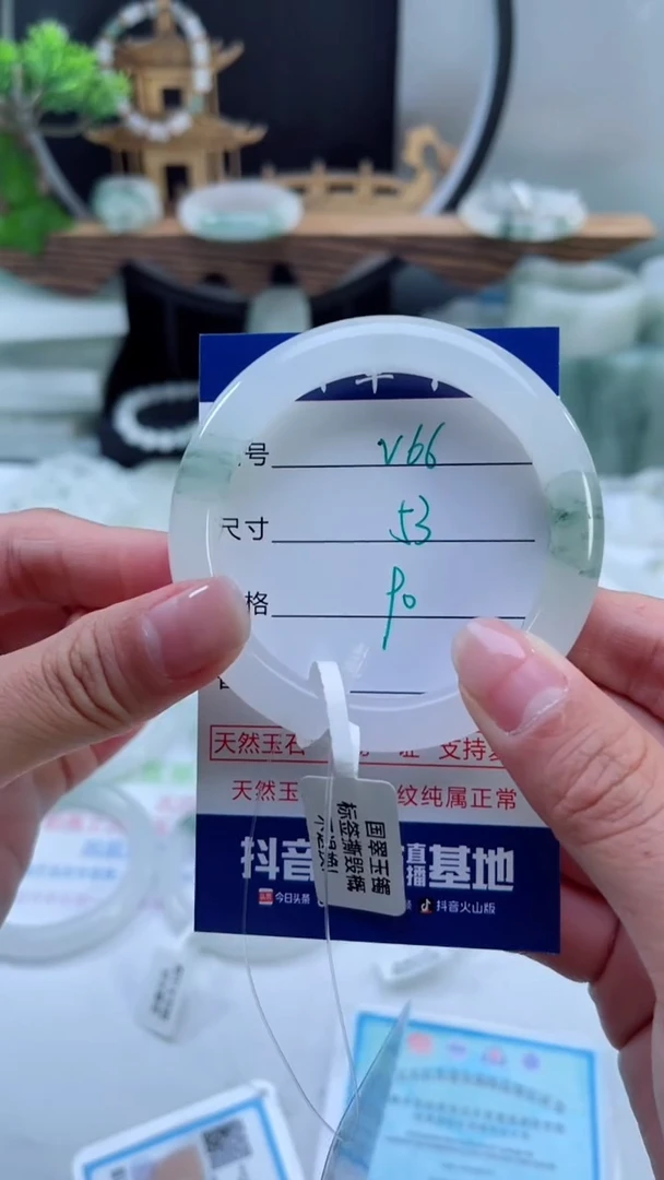 未镶嵌首饰石英质玉（天山翠）66