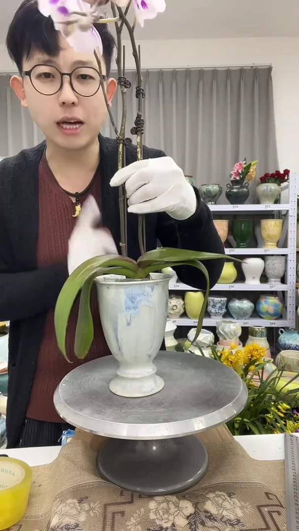 【12.11号】花盆链接 高：17 口：11