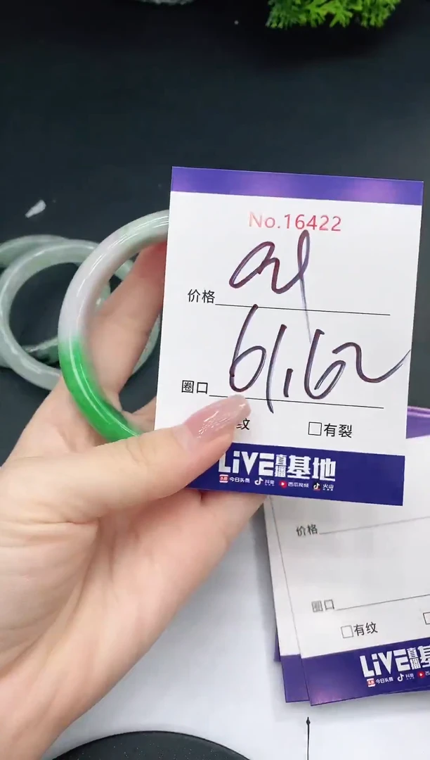 未镶嵌手镯翡翠16422