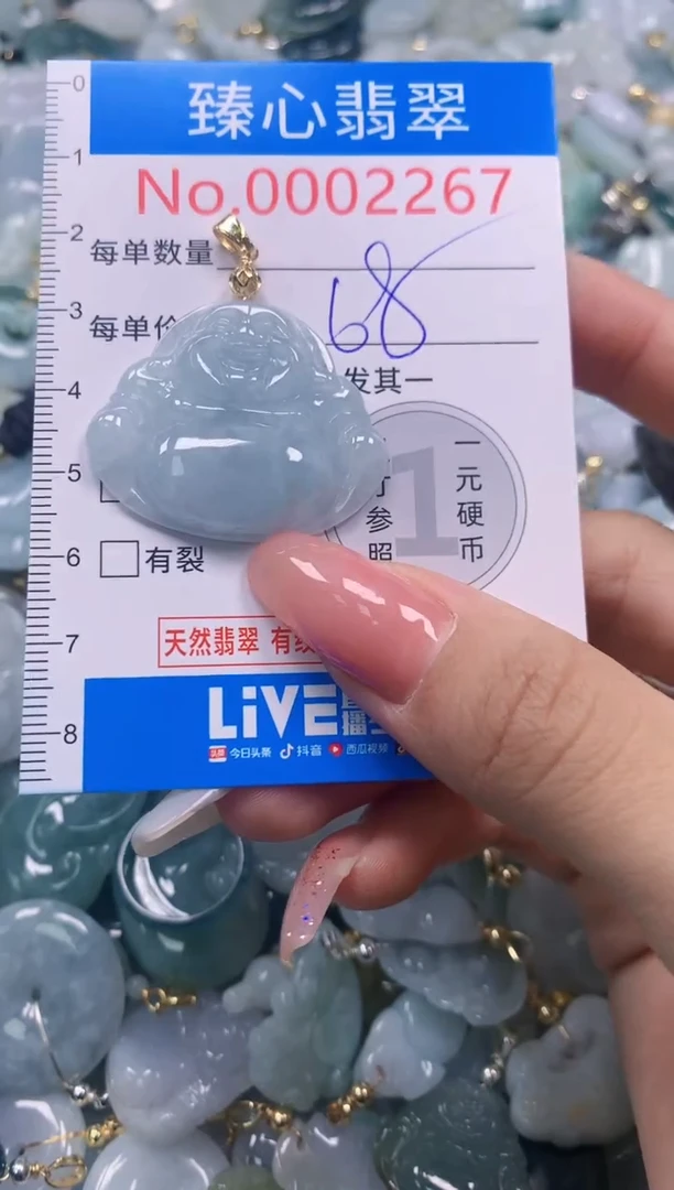 翡翠未镶嵌颈饰2267