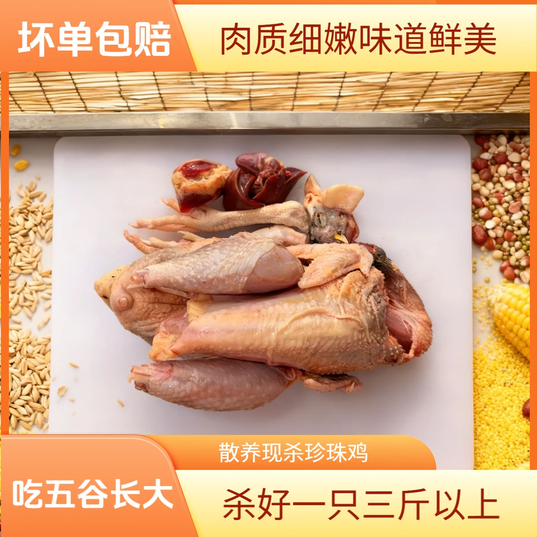 (飞禽珍朱鸡）农家全粮散养 珍禽活鸡现杀整鸡新鲜真空