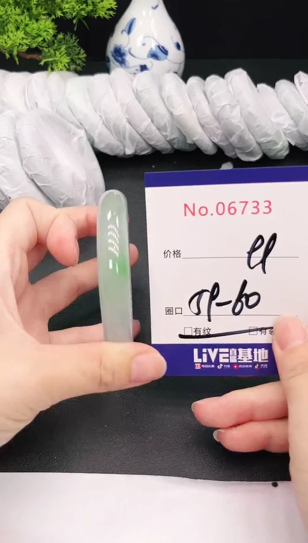 未镶嵌手镯翡翠6733
