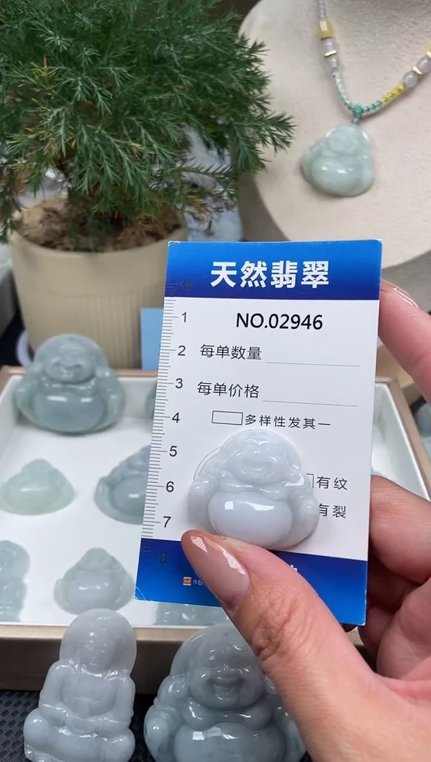 颈饰未镶嵌翡翠纯天然A货翡翠2946