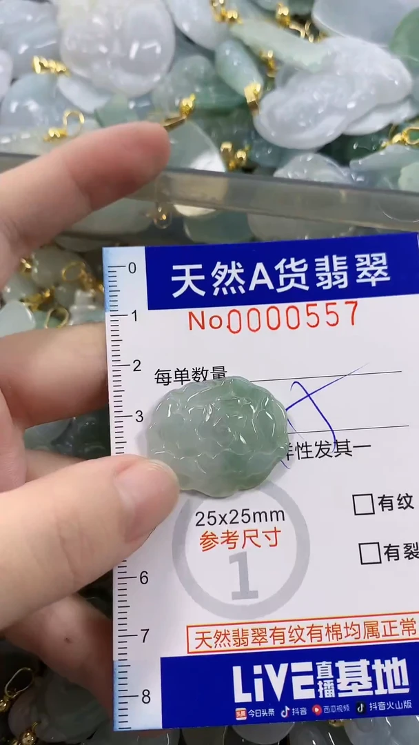 颈饰未镶嵌翡翠天然A货翡翠