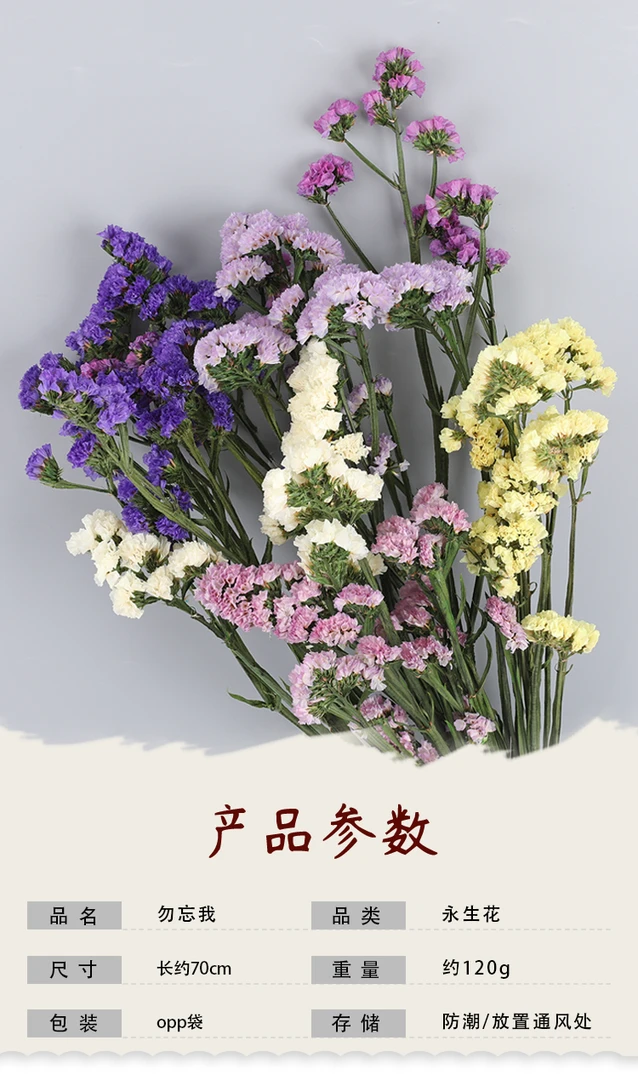 永生勿忘我100-120g