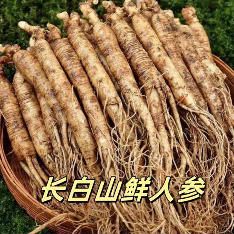 长白山20支新鲜人参[8-12g]青苔保温箱发货
