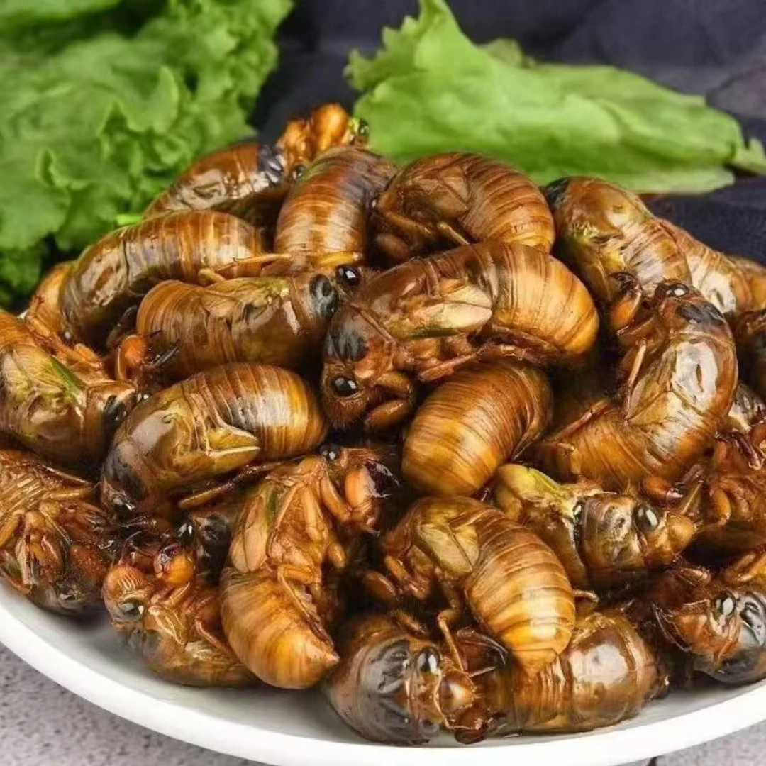 顺丰包邮2025新鲜出土爬叉知了猴活体速冻高蛋白