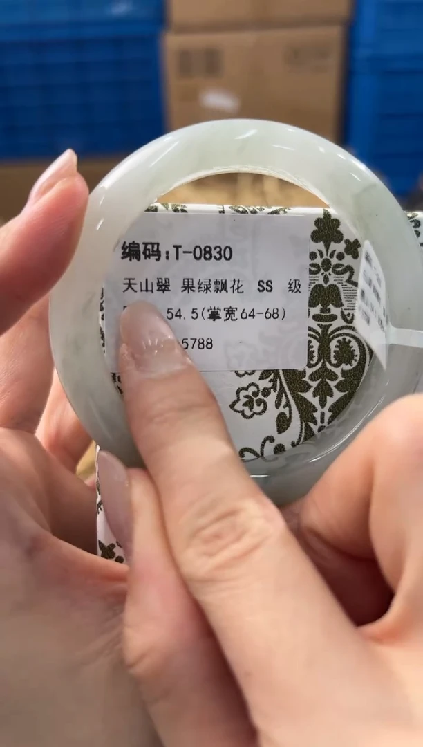 未镶嵌手镯石英质玉T-0830