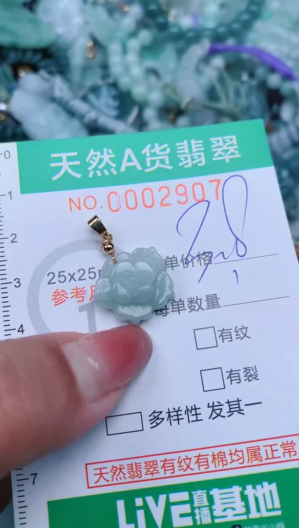 【闪购商品】翡翠颈饰未镶嵌.0002907