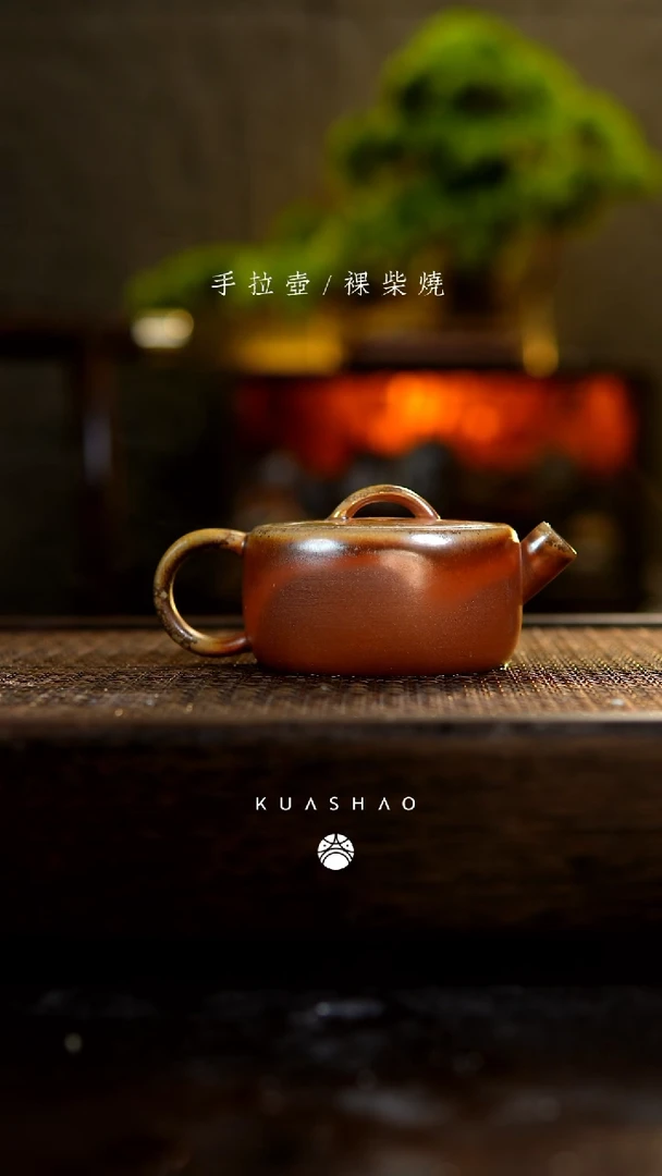 【闪购商品】逐日壶275